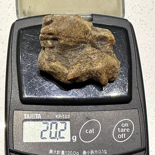 Raw Baltic Amber 20.2g