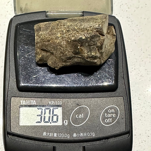 Raw Baltic Amber 30.6 Grams