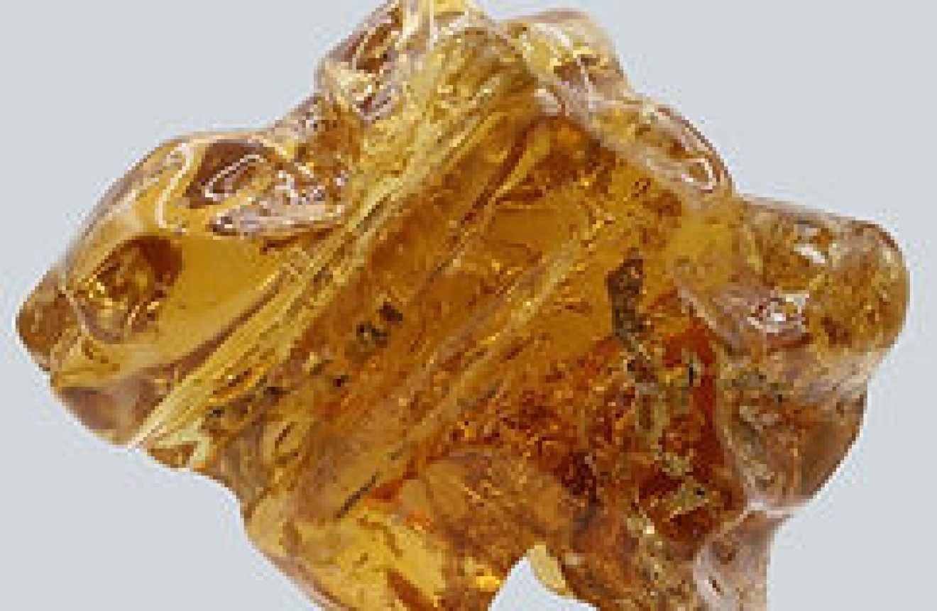 Raw Baltic Amber