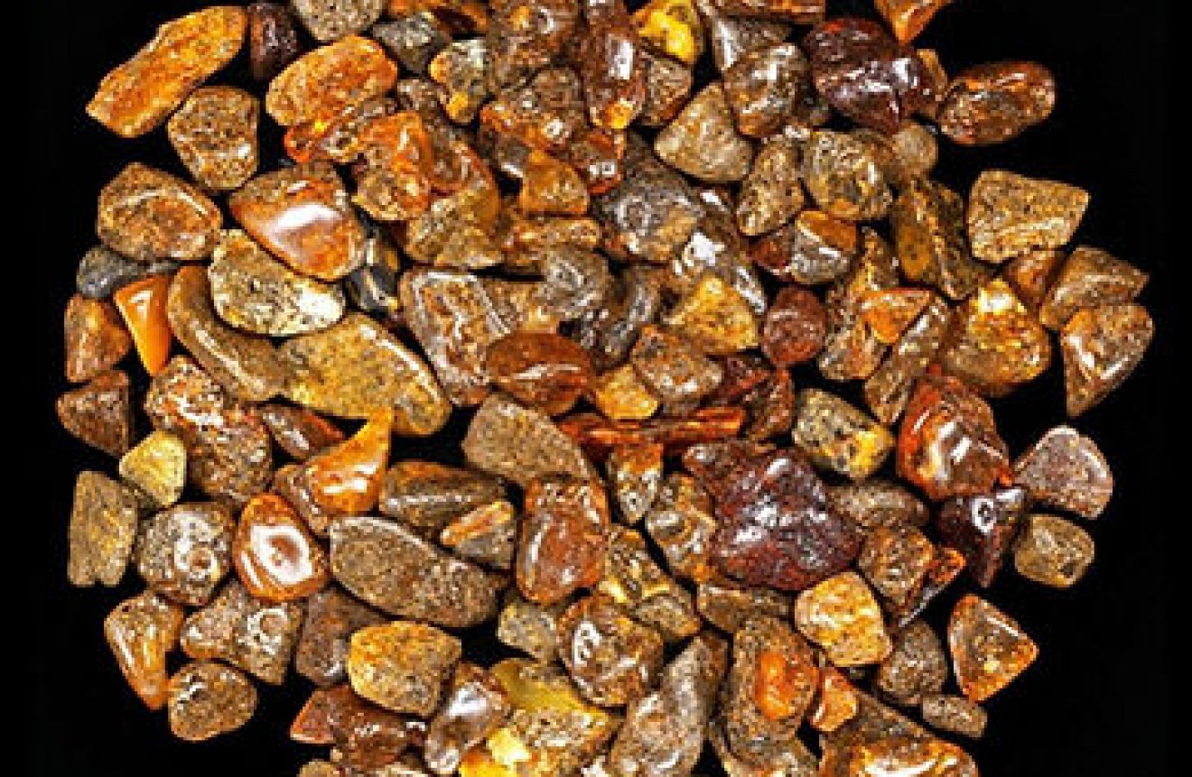 real amber polished pieces