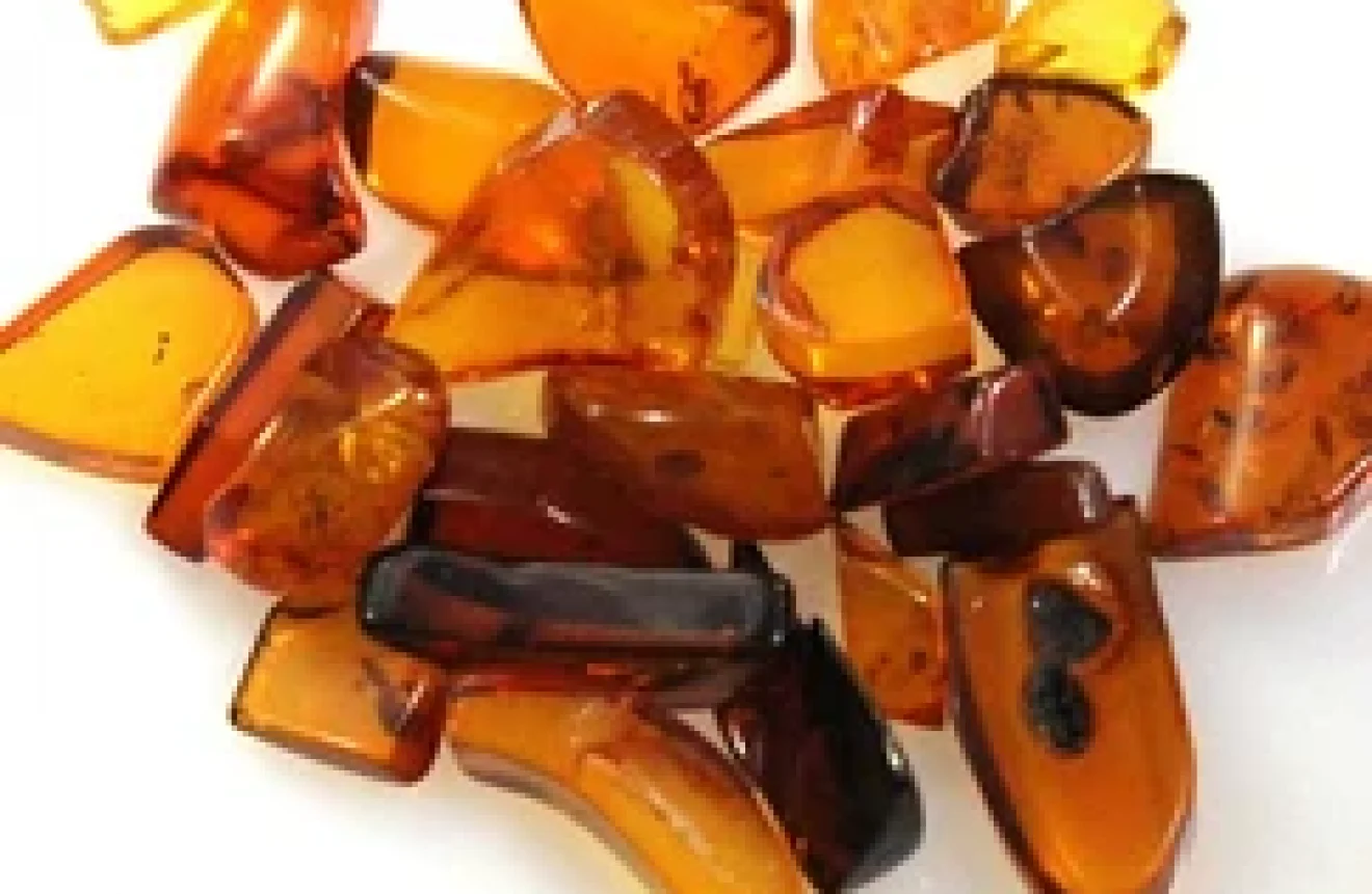 Polished Baltic Amber